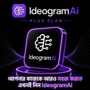 Ideogram Plus Plan
